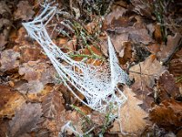 Winterwanderung 2018-12