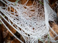 Winterwanderung 2018-13