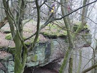 Winterwanderung 2018-25
