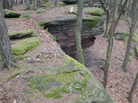 Winterwanderung 2018-27