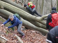 Winterwanderung 2018-3