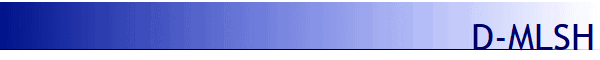 D-MLSH